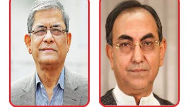 ভয়-ভীতি দেখিয়ে ভোট থেকে বিরত রাখতে চায় আ.লীগ: মির্জা ফখরুল