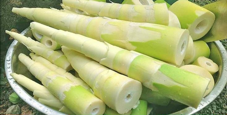 বাঁশের কোঁড়ল ‘স্বাস্থ্যকর খাবারের রাজা’ 1 পেট্রোল পাম্প 24