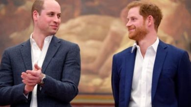 Harry and Willim 750x563 1