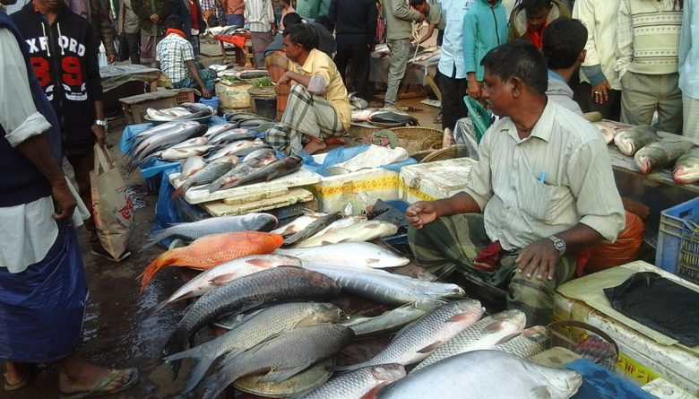বেড়েছে সব ধরনের মাছের দাম 1 1 6