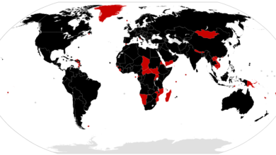1200px COVID 19 Outbreak World Map Deaths.svg