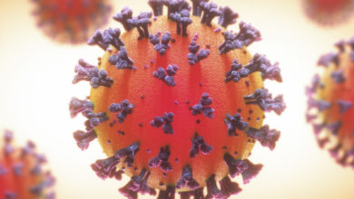 coronavirus 6 1400x592 2
