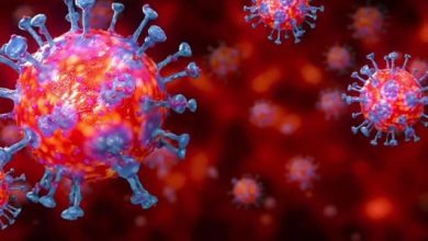 coronavirus chinese lab 160420 01