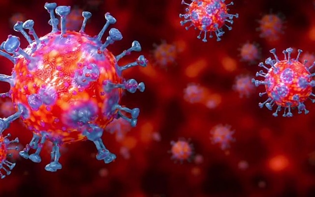 coronavirus chinese lab 160420 01