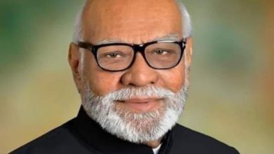ডিলু