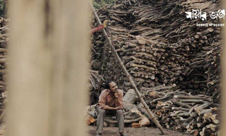 বাংলাটিবি 118