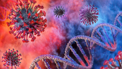 covid 19 coronavirus