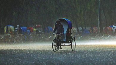 rains 1