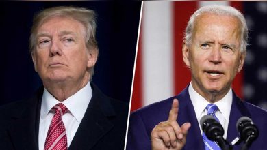 trump biden collected