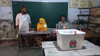 ভোট