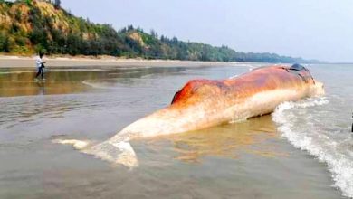 Coxbazar timi