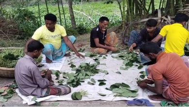 Natore