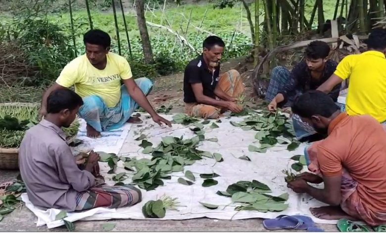 Natore