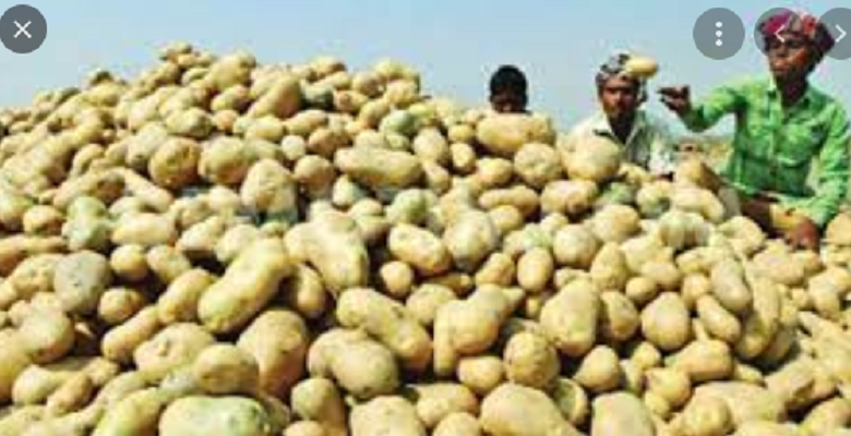 আলুর দাম