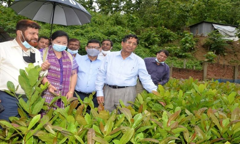 কৃষি