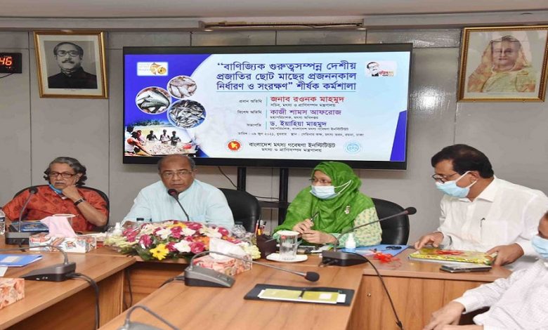 মৎস