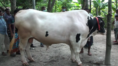 রাজশাহী