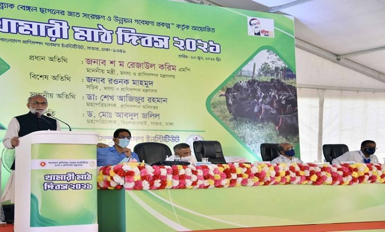 রেজা