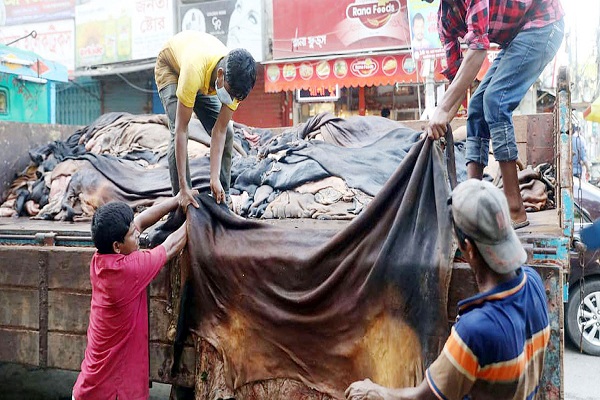 কোরবানির পশুর চামড়ার গাড়ি ঢাকায় প্রবেশ করবে ২৩ জুলাই থেকে: শিল্প মন্ত্রণালয় 1 kurbani