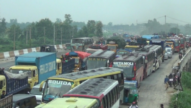 টাঙ্গাইল