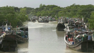 পাথরঘাটা