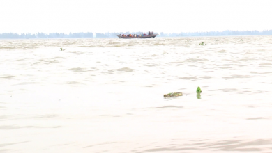 বন্যা 2