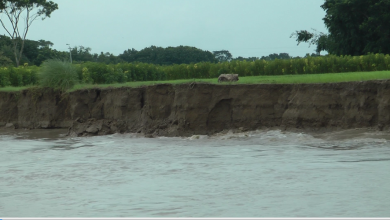 বন্যা 3