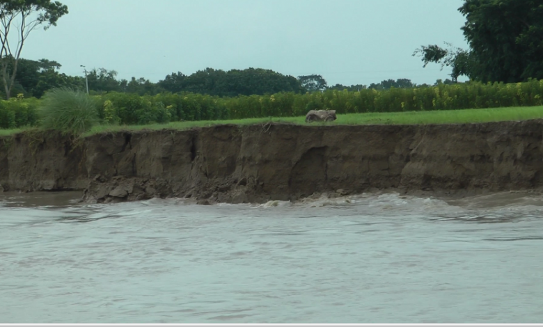 উজানের ঢলে প্লাবিত নিম্নাঞ্চল, বিভিন্ন জায়গায় ভাঙন 1 বন্যা 3