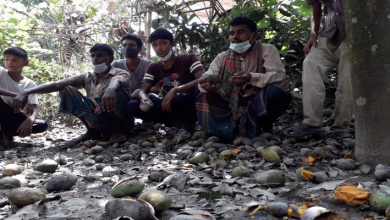 মহেশপুর