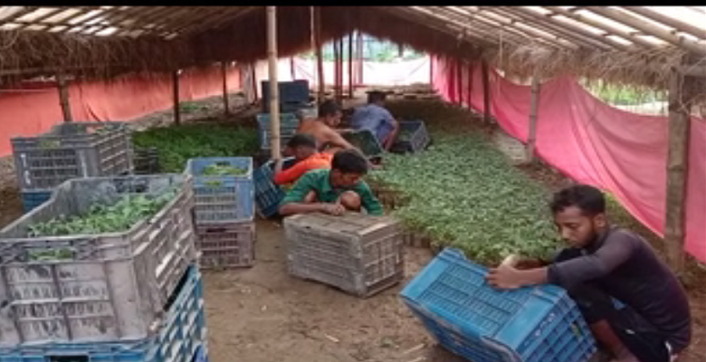 মাদবপুর