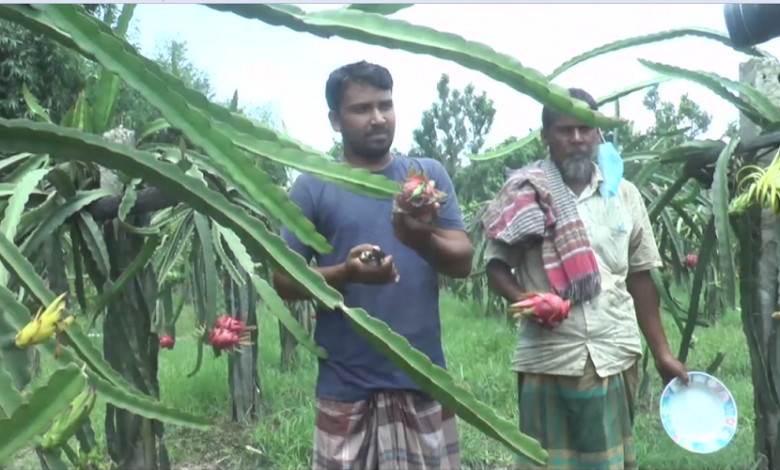 মেহেরপুর