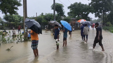 ময়মনসিংহ