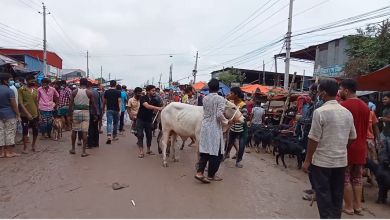 হাট 1