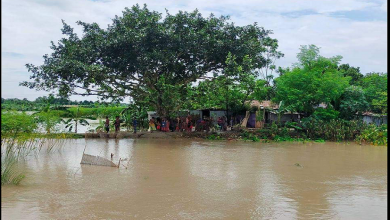 কুষ্টিয়া