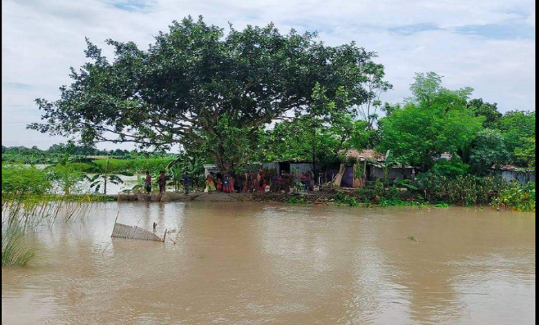 কুষ্টিয়া