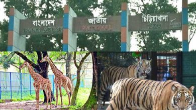 চিড়িয়াখানা