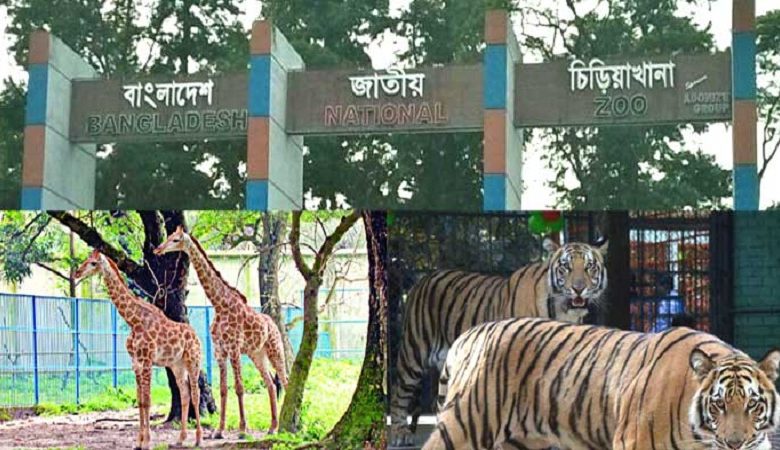 চিড়িয়াখানা