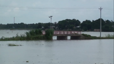 বন্যা