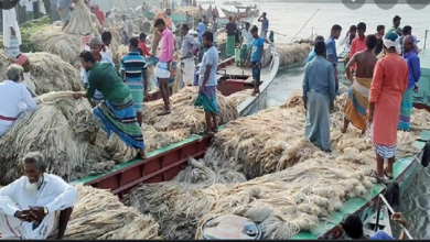 পাট