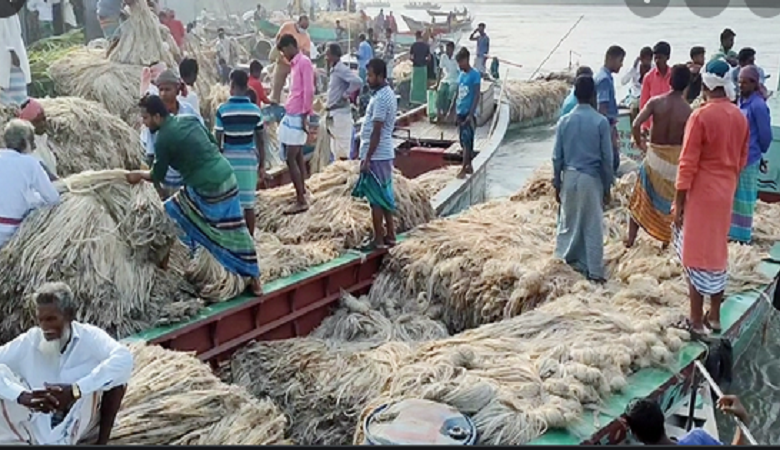 পাট