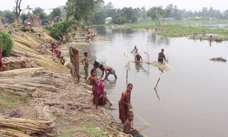 পাবনা