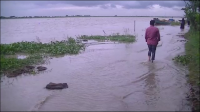 বন্যা 3
