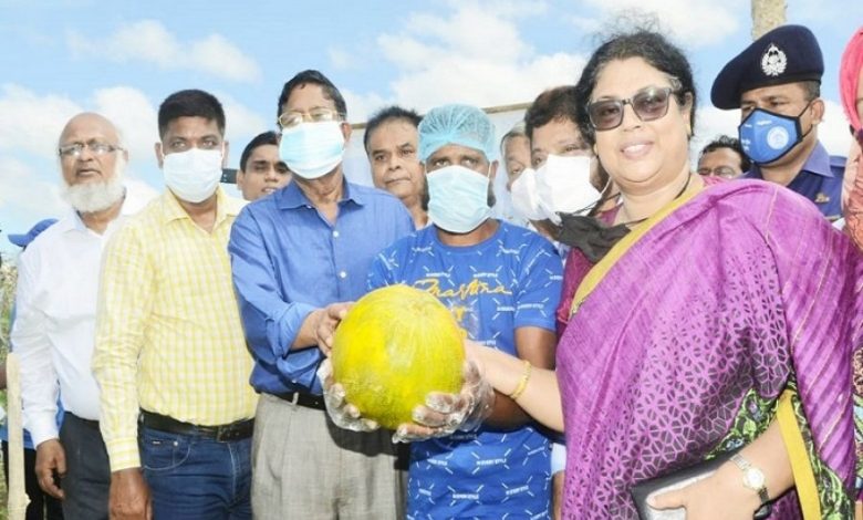 দক্ষিণাঞ্চলের লবণাক্ত জমিতে কৃষি উৎপাদনের জন্য কাজ করছে সরকার: কৃষিমন্ত্রী 1 রাজ্জাক