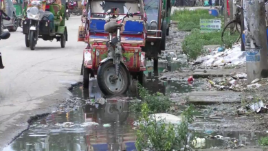 শেরপুর 1