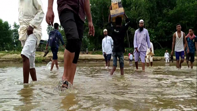 শেরপুর 2
