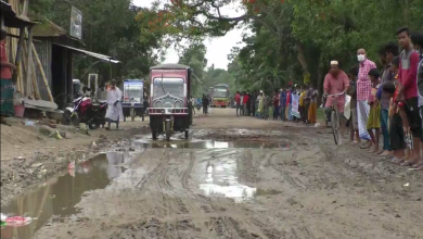 শেরপুর সমস্যা