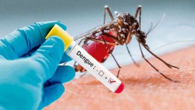 dengue fever