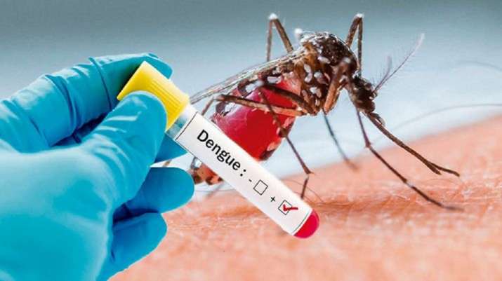 dengue fever