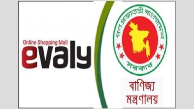 ই ভ্যালি