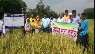 কুমিল্লা
